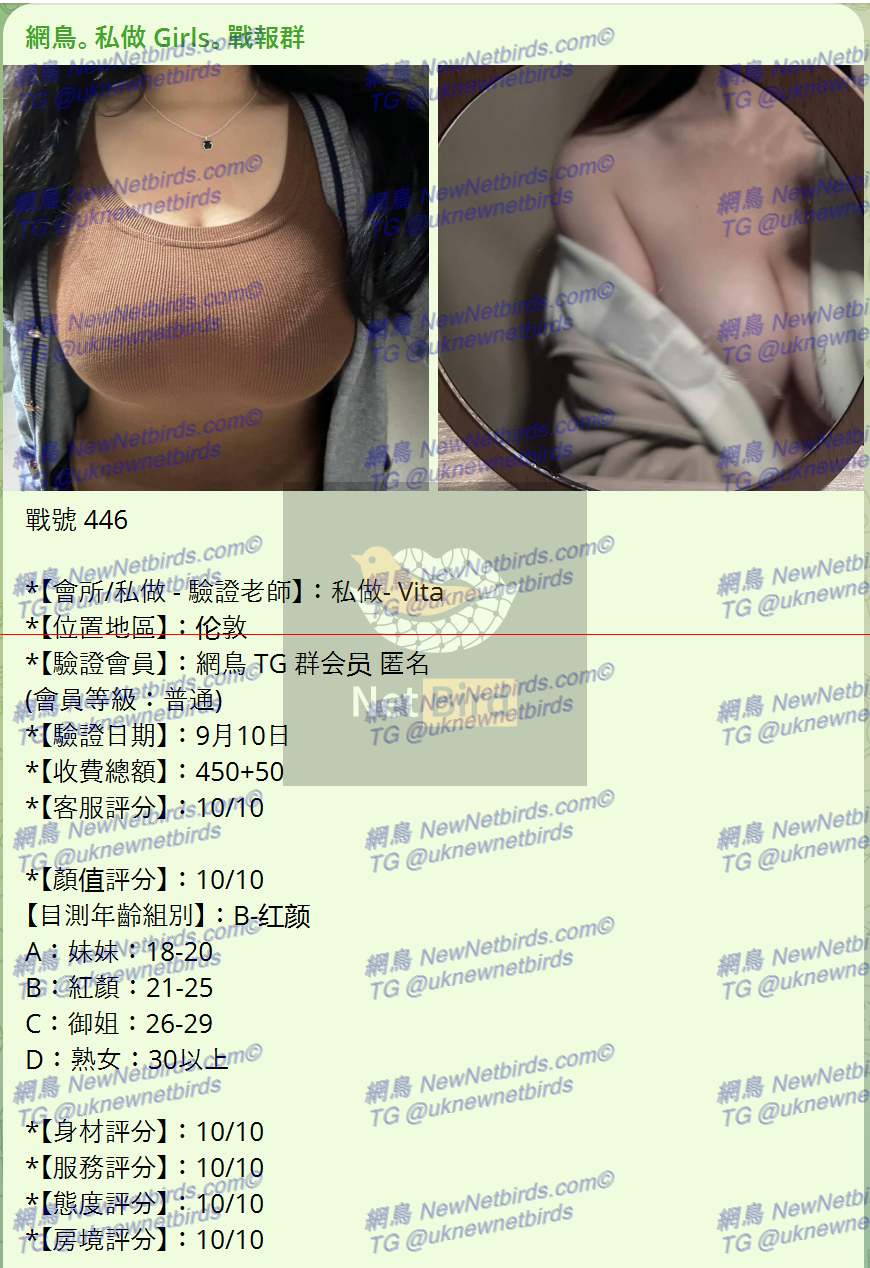 戰號 446 1.png
